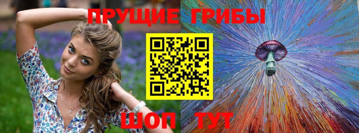 Вичуга  Галлюциногенные грибы Cubensis  Вход с VPN 